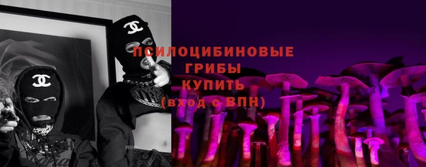 прущая мука Няндома