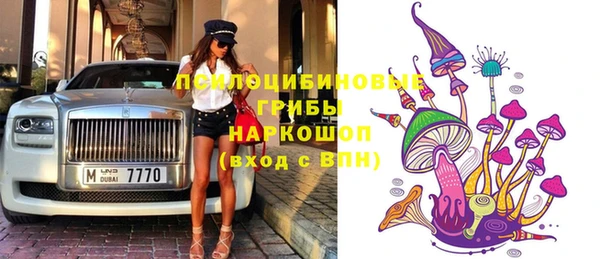 прущая мука Няндома