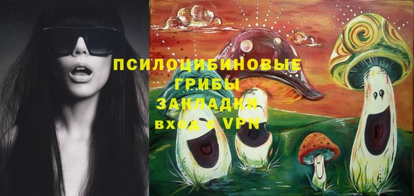 амф Нязепетровск