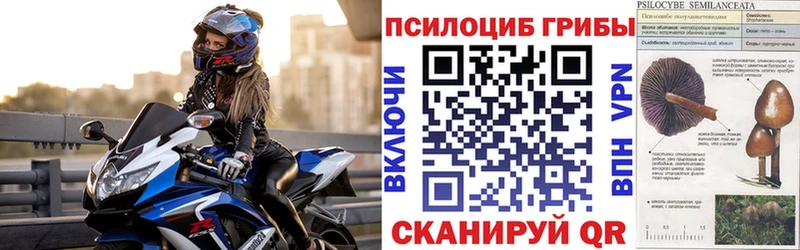 купить наркотики цена  Красково  Галлюциногенные грибы MAGIC MUSHROOMS 